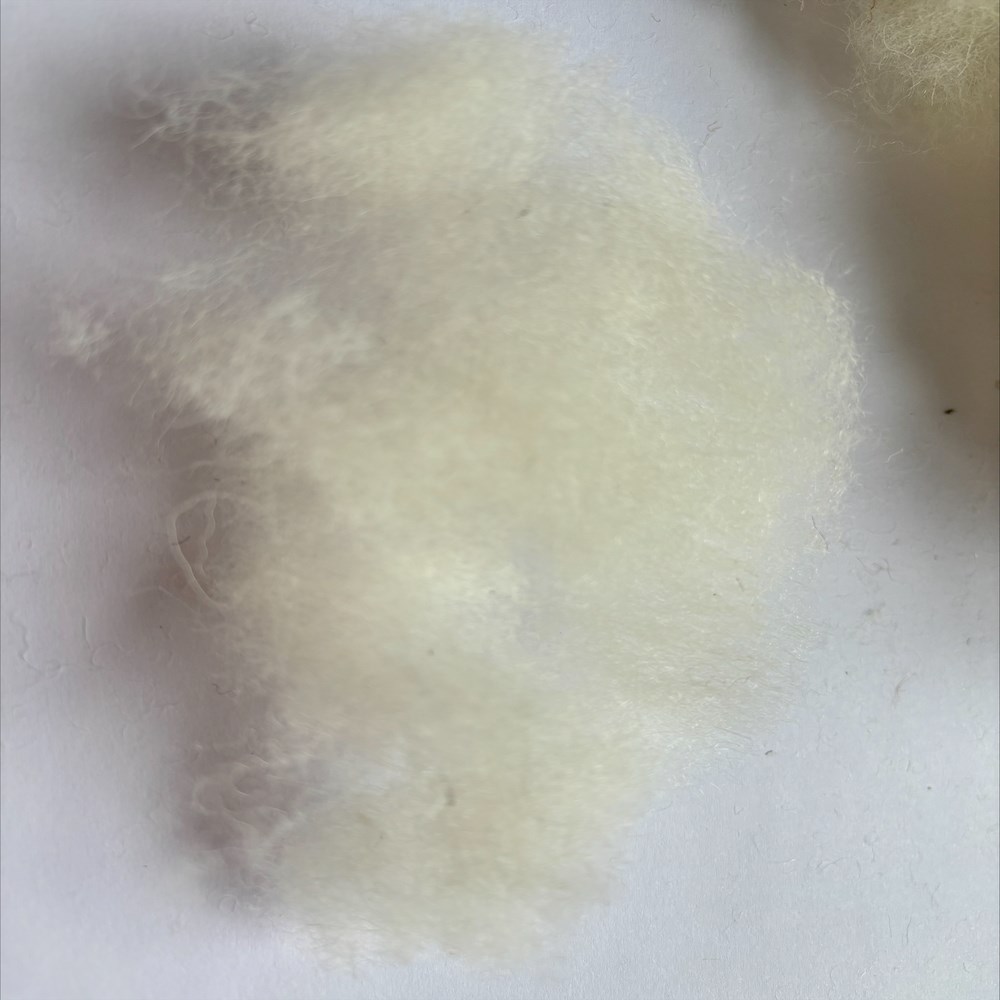 25mm cut wool for fine fillings 